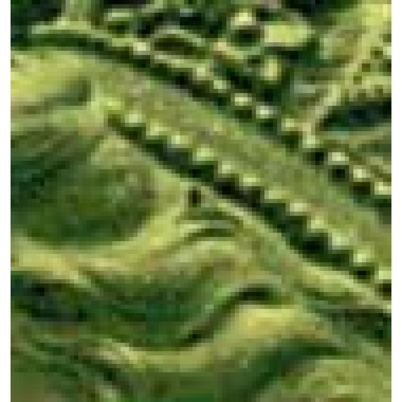 1977 £1 yellow green & blackish olive. SG 1026. Listed variety "dark spot in hair". SG Spec. UF1e